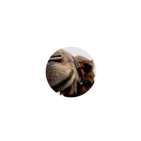 Camel head 1  Mini Magnet from ArtsNow.com Front