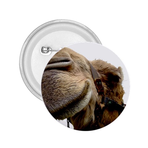 Camel head 2.25  Button from ArtsNow.com Front