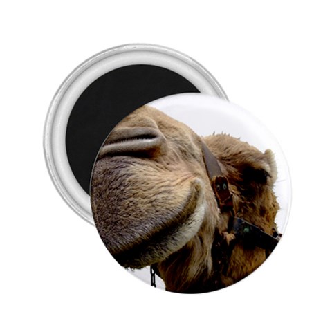 Camel head 2.25  Magnet from ArtsNow.com Front