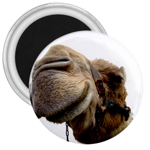 Camel head 3  Magnet from ArtsNow.com Front