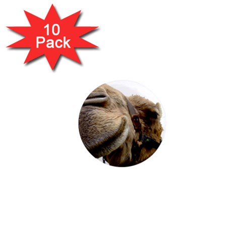 Camel head 1  Mini Magnet (10 pack)  from ArtsNow.com Front
