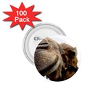 Camel head 1.75  Button (100 pack) 
