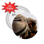 Camel head 2.25  Button (10 pack)