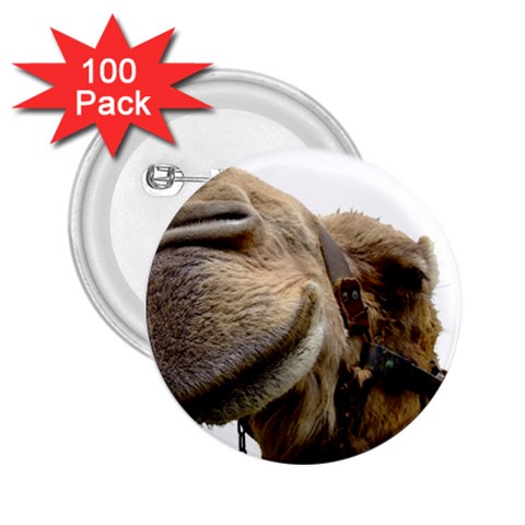 Camel head 2.25  Button (100 pack) from ArtsNow.com Front