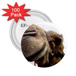 Camel head 2.25  Button (100 pack)