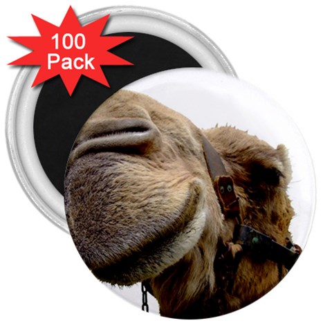 Camel head 3  Magnet (100 pack) from ArtsNow.com Front