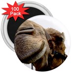 Camel head 3  Magnet (100 pack)