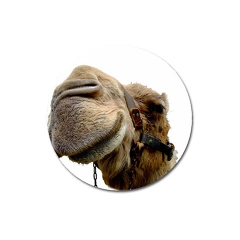 Camel head Magnet 3  (Round) from ArtsNow.com Front