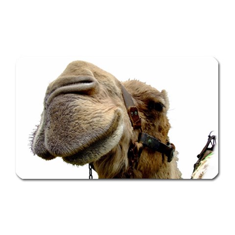 Camel head Magnet (Rectangular) from ArtsNow.com Front
