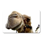 Camel head Magnet (Rectangular)