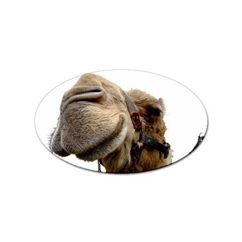 Camel head Sticker Oval (10 pack) from ArtsNow.com Front