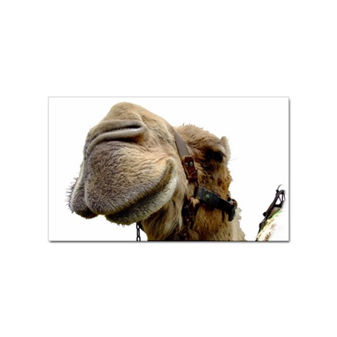 Camel head Sticker Rectangular (100 pack) from ArtsNow.com Front
