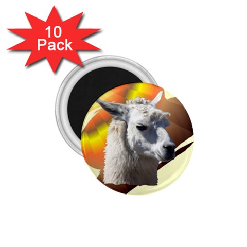 Llama head 1.75  Magnet (10 pack)  from ArtsNow.com Front