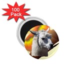 Llama head 1.75  Magnet (100 pack) 