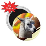 Llama head 2.25  Magnet (10 pack)