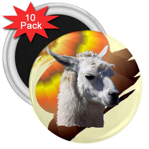 Llama head 3  Magnet (10 pack) from ArtsNow.com Front