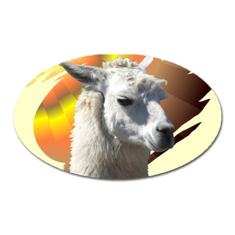 Llama head Magnet (Oval) from ArtsNow.com Front