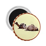 Sitting camels 2.25  Magnet