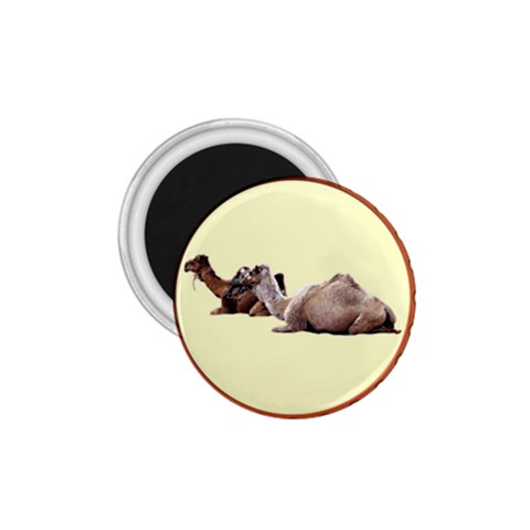 Sitting camels 1.75  Magnet from ArtsNow.com Front