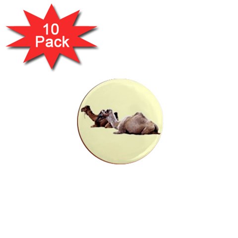 Sitting camels 1  Mini Magnet (10 pack)  from ArtsNow.com Front