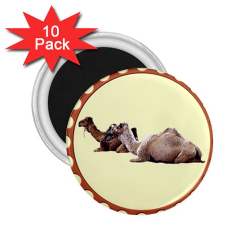 Sitting camels 2.25  Magnet (10 pack) from ArtsNow.com Front