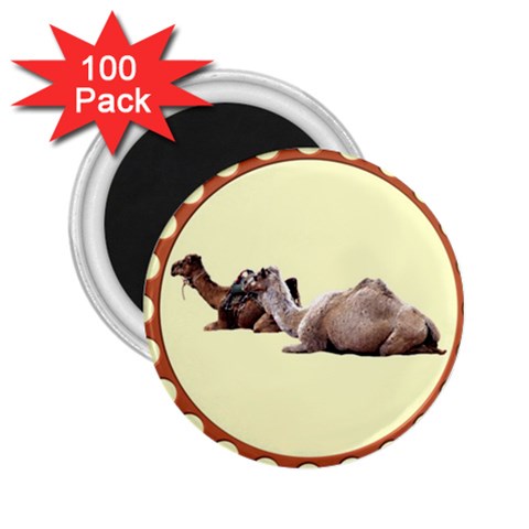 Sitting camels 2.25  Magnet (100 pack)  from ArtsNow.com Front