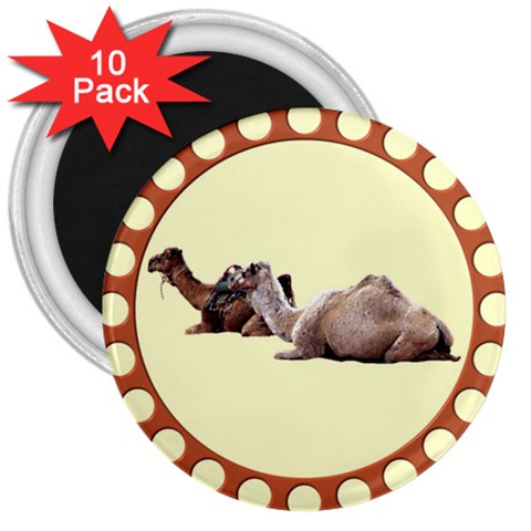 Sitting camels 3  Magnet (10 pack) from ArtsNow.com Front