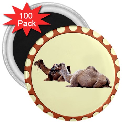 Sitting camels 3  Magnet (100 pack) from ArtsNow.com Front