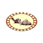 Sitting camels Sticker (Oval)