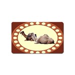 Sitting camels Magnet (Name Card)