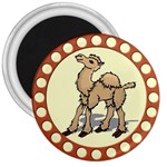 Cute camel 3  Magnet