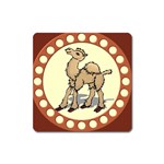 Cute camel Magnet (Square)