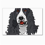 Spaniel Postcard 4  x 6 