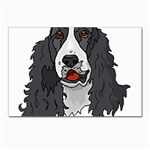 Spaniel Postcard 4 x 6  (Pkg of 10)