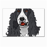 Spaniel Postcards 5  x 7  (Pkg of 10)