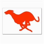 Greyhound Postcard 5  x 7 