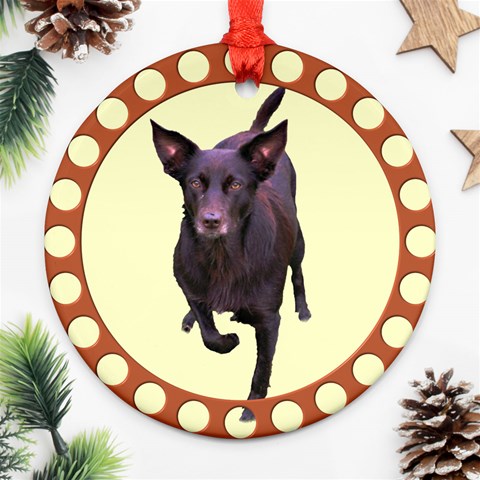 Kelpie 1 Ornament (Round) from ArtsNow.com Front