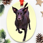 Kelpie 1 Ornament (Oval)