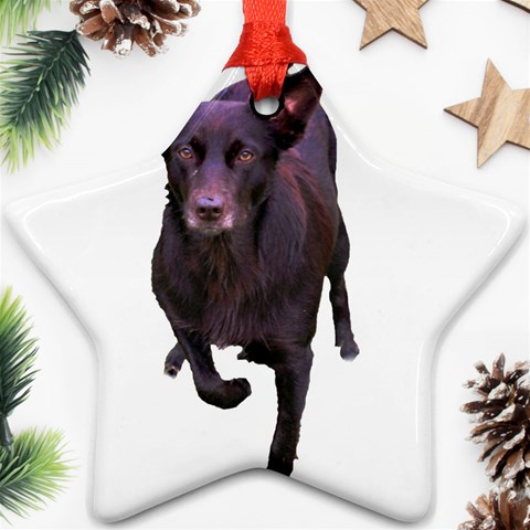 Kelpie 1 Ornament (Star) from ArtsNow.com Front