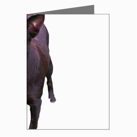 Kelpie 1 Greeting Cards (Pkg of 8) from ArtsNow.com Left