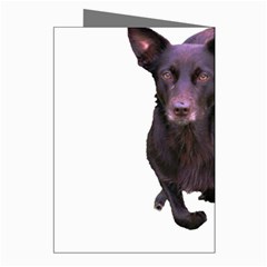 Kelpie 1 Greeting Cards (Pkg of 8) from ArtsNow.com Right
