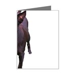 Kelpie 1 Mini Greeting Card