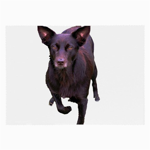 Kelpie 1 Glasses Cloth (Large) from ArtsNow.com Front