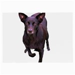 Kelpie 1 Glasses Cloth (Large)