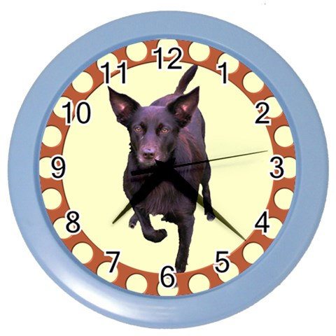 Kelpie 1 Color Wall Clock from ArtsNow.com Front