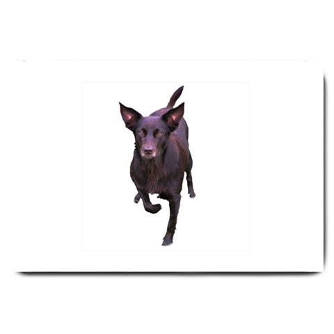 Kelpie 1 Large Doormat from ArtsNow.com 30 x20  Door Mat