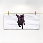 Kelpie 1 Hand Towel
