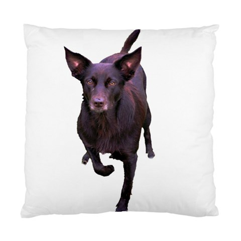 Kelpie 1 Cushion Case (One Side) from ArtsNow.com Front