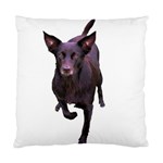 Kelpie 1 Cushion Case (One Side)