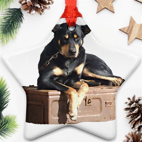 Kelpie 2 Ornament (Star) from ArtsNow.com Front